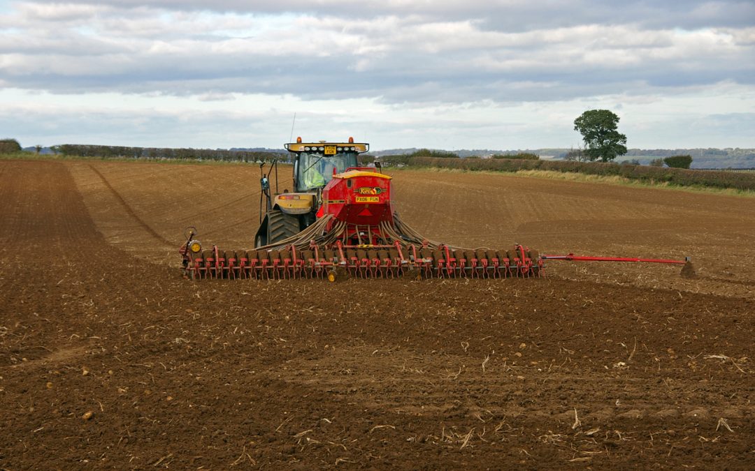 Autumn Sowing 2022- Challenging times indeed.
