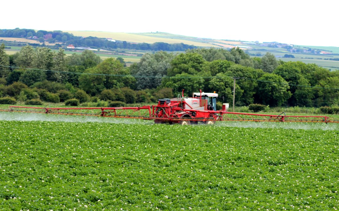 The role of foliar programmes