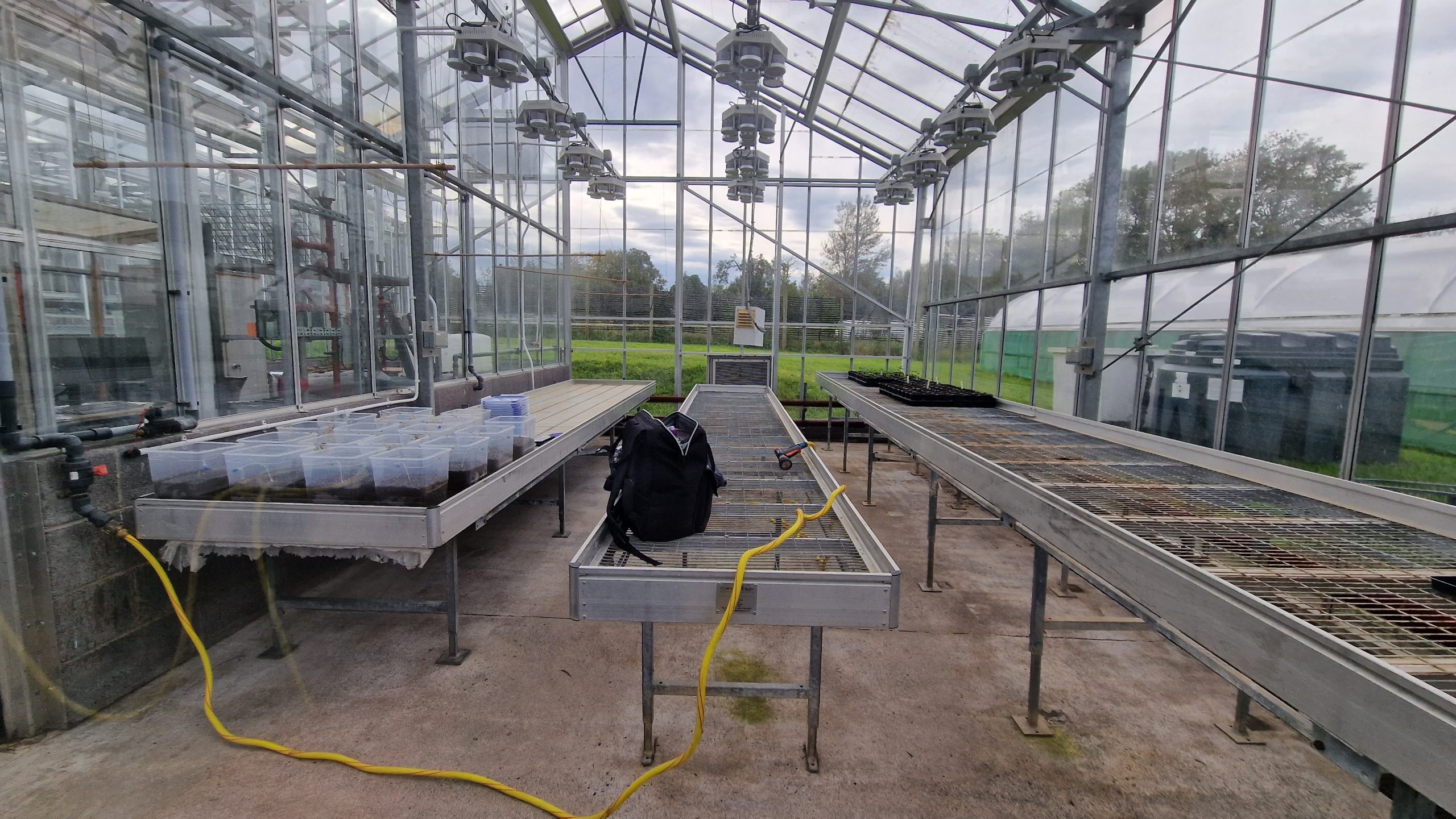 Emerald's glasshouse facility at Henfaes Research Centre Bangor