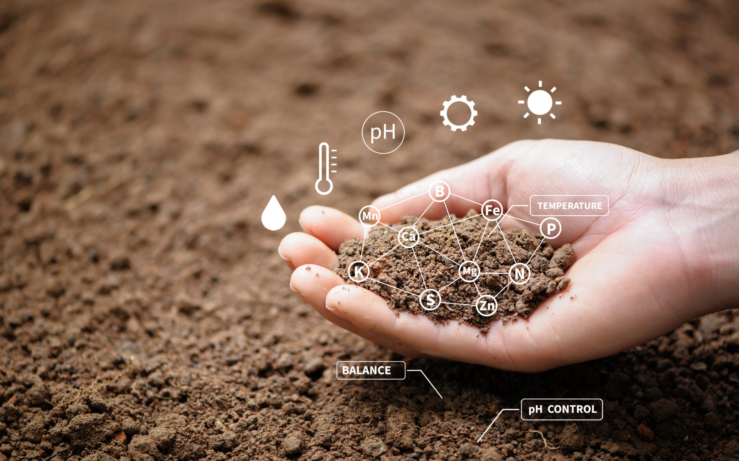 a pictures of a hand with soil of soil showing the essential element