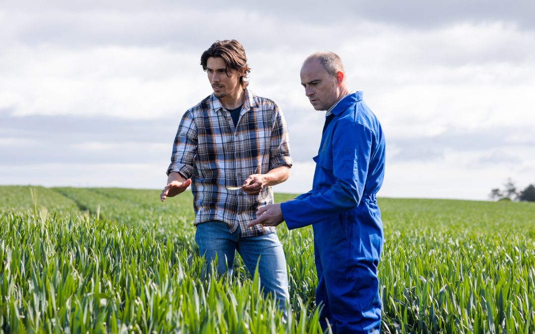 Field walking of crops
