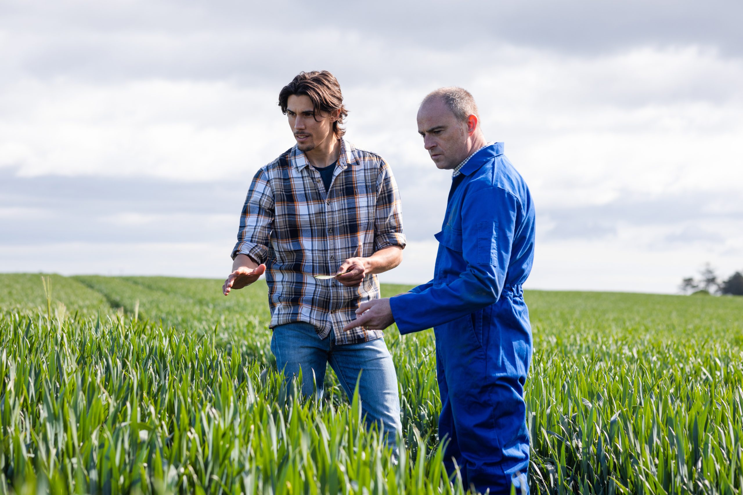 Field walking of crops