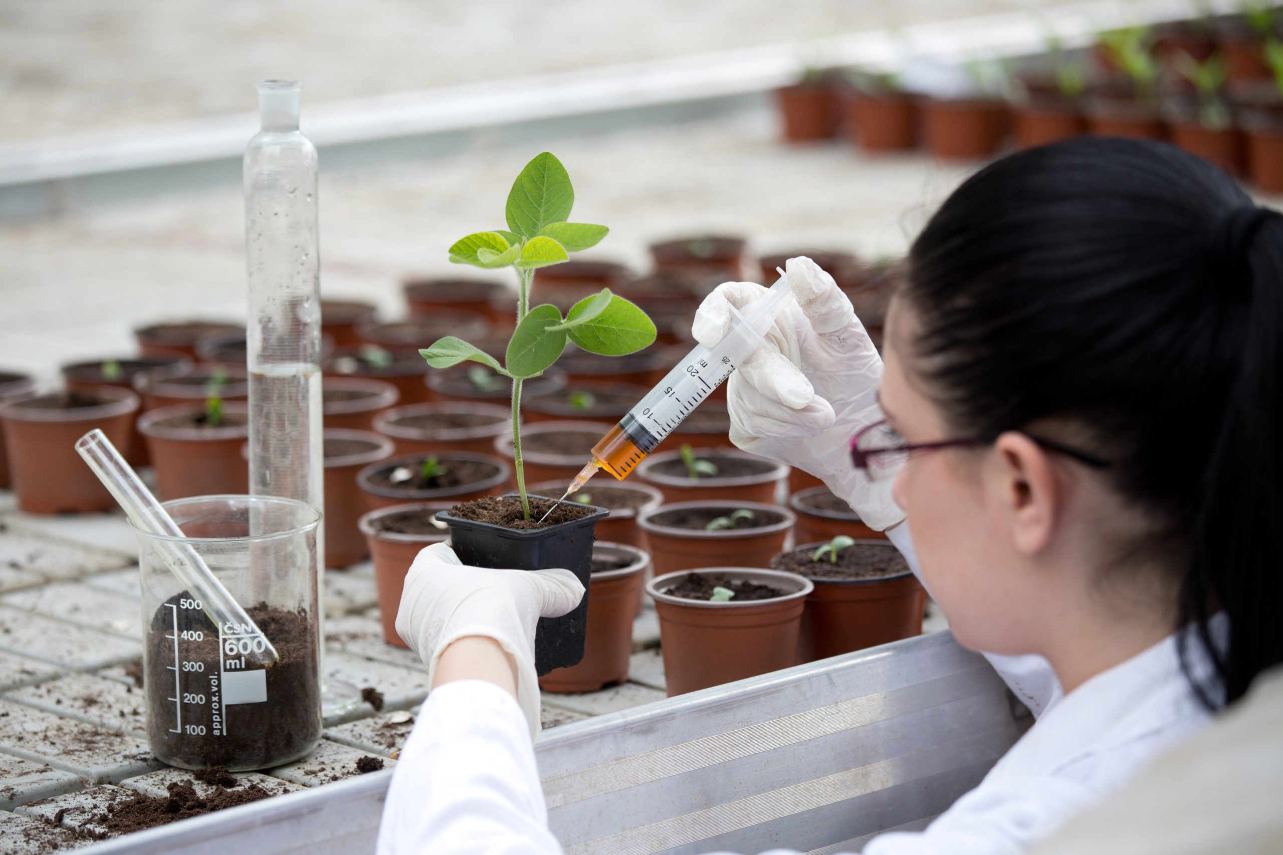 Testing in a lab