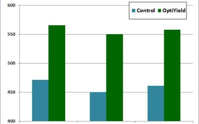 OptiYield® Olive Trials (Portugal)