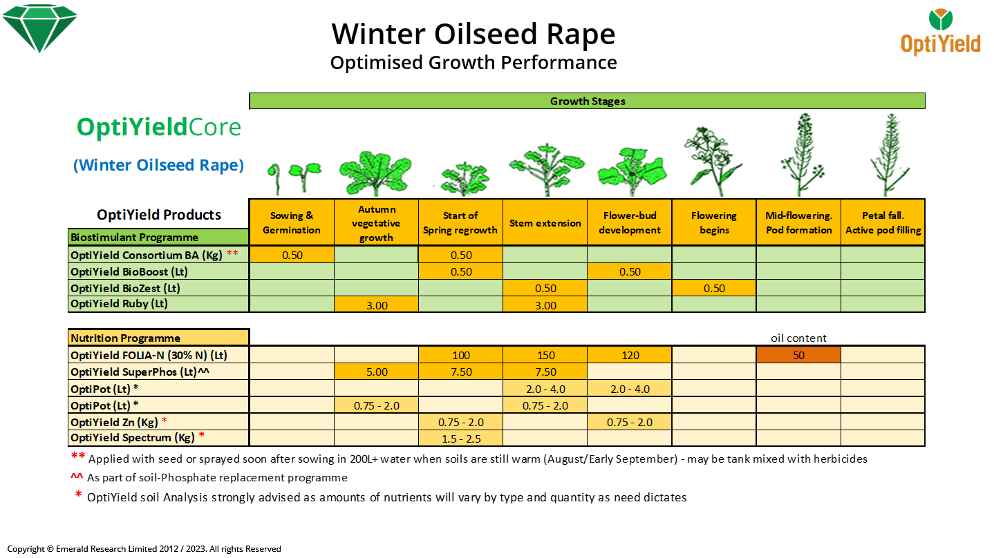 Growth Development Programmes for Oilseed rape