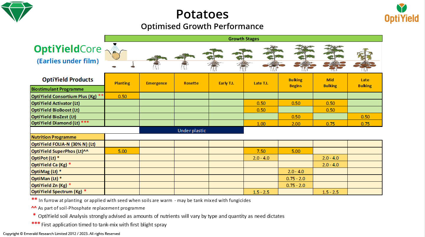 Optimised growth development programme for potatoes - Earlies under film