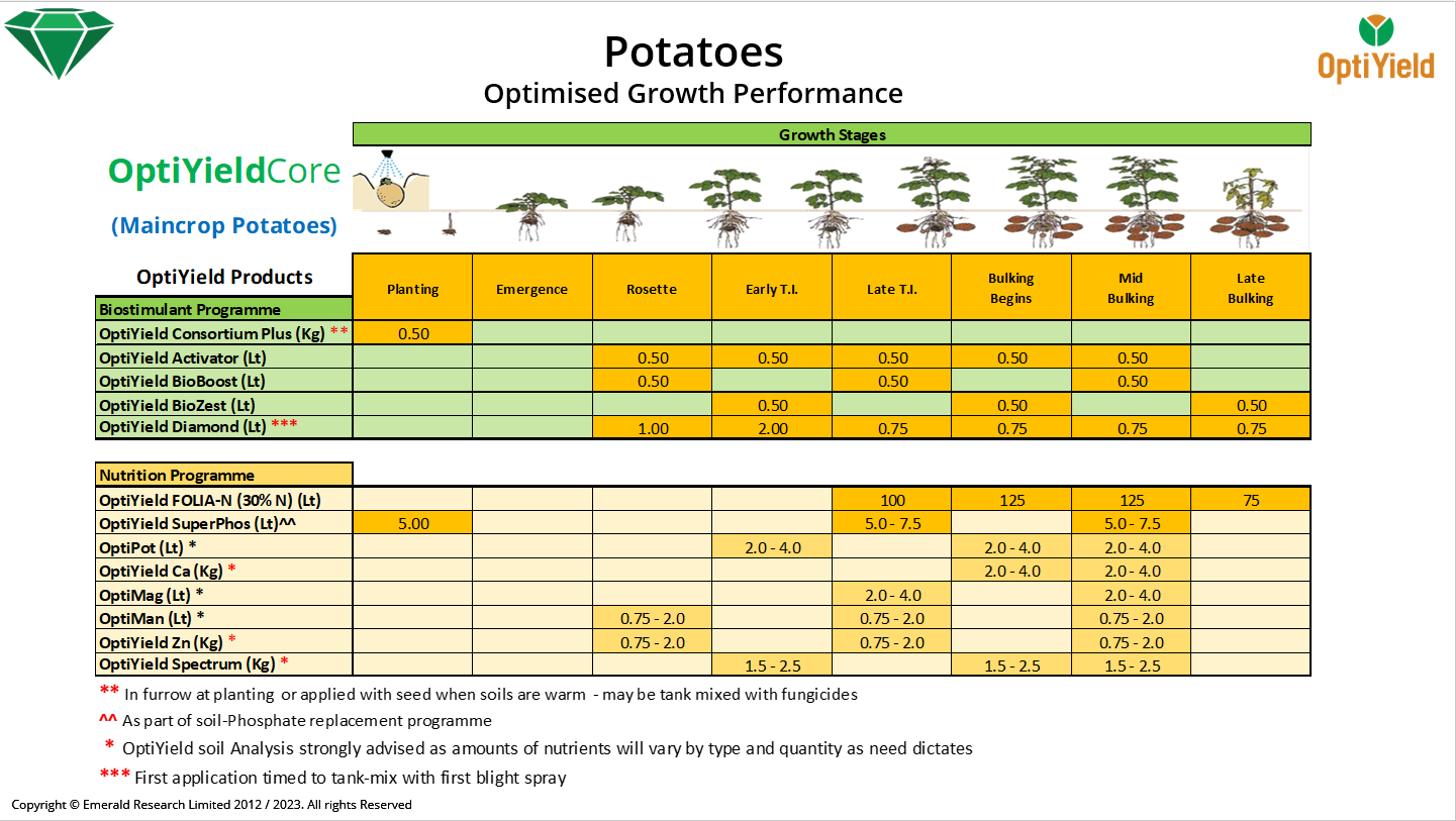 Optimised growth programmes for maincrop potatoes