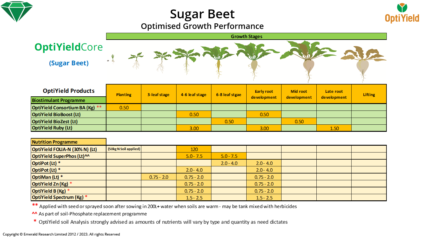 Optimised Growth Development Programmes for Sugar Beet