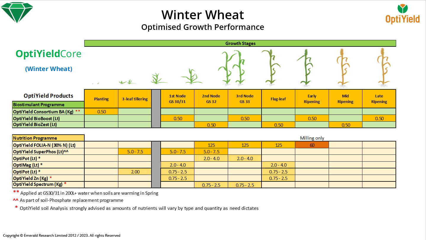 Optimised Growth Development Programms for Winter Wheat
