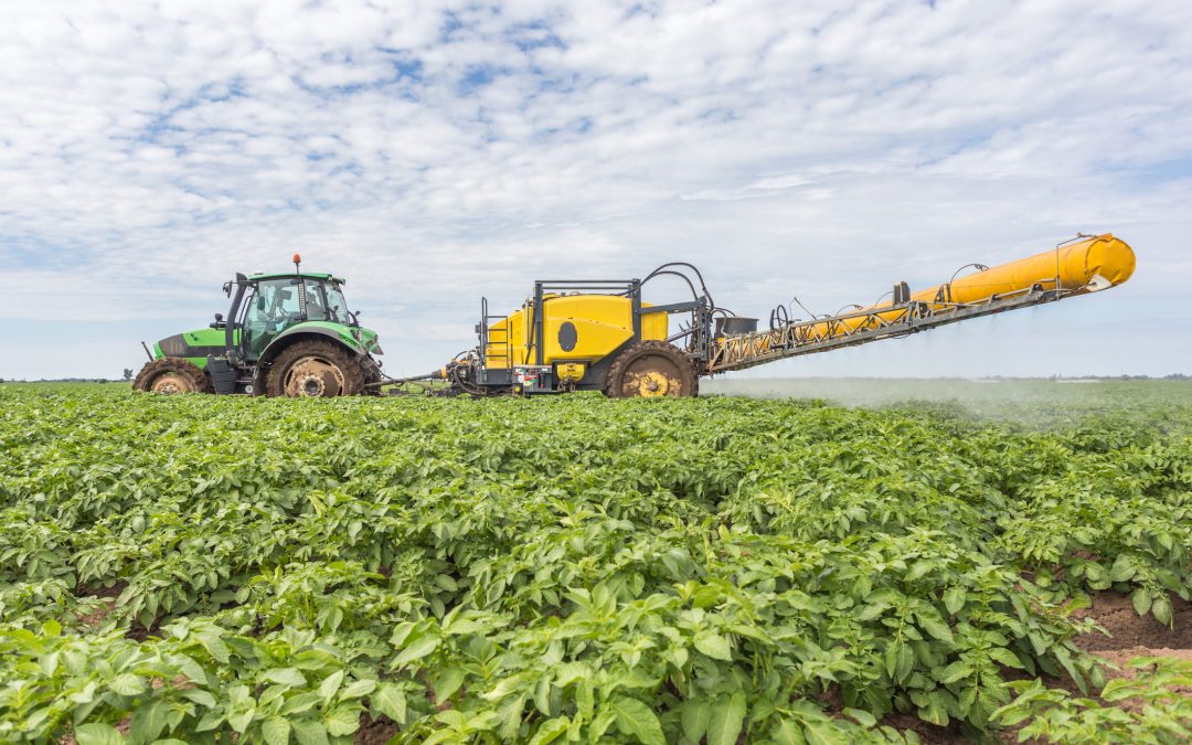 Tractor spraying fertiliser, on a green field of potato crops