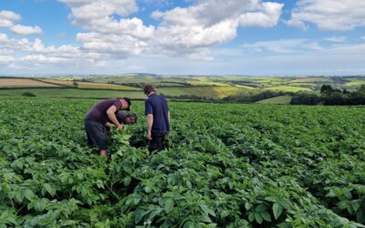 Direct applications are driving increased nutrient use efficiency