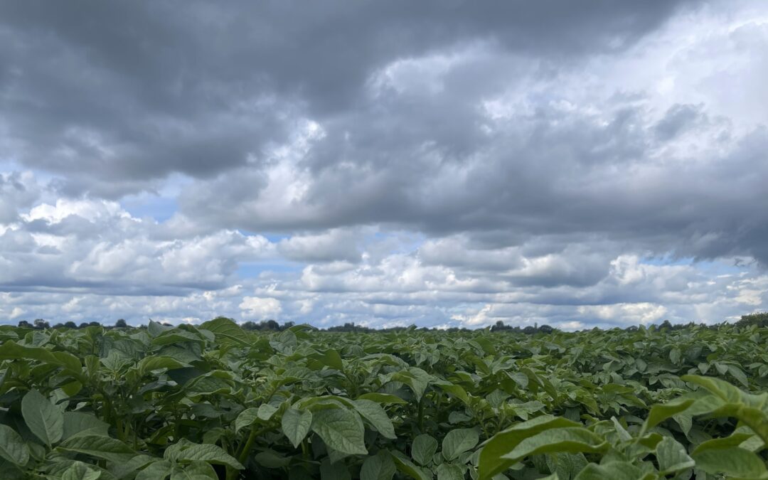 Foliar Application in Wet and Dry Weather | Crop Nutrition